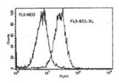Flow Cytometry: Bcl-xL Antibody (7B2.5) [NBP1-28559]