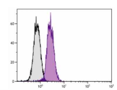 Flow Cytometry: Bcl-xL Antibody (7B2.5) [NBP1-28559]