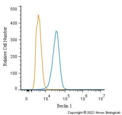 Flow Cytometry: Beclin 1 Antibody - BSA Free [NB500-249]