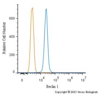 Flow Cytometry: Beclin 1 Antibody - BSA Free [NB500-249]
