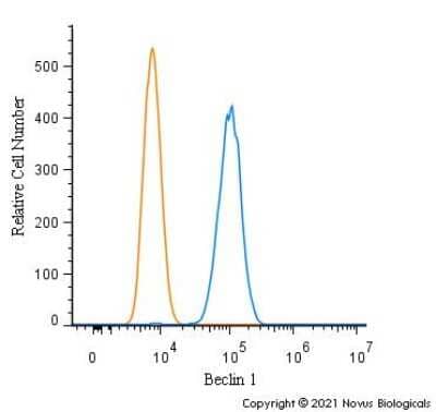 Flow Cytometry: Beclin 1 Antibody - BSA Free [NB500-249]