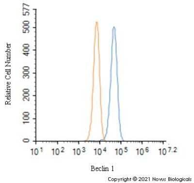 Flow Cytometry: Beclin 1 Antibody - BSA Free [NB500-249]
