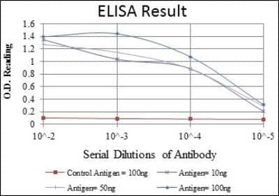 ELISA: Beclin 1 Antibody (2A4) - BSA Free [NBP2-22176]