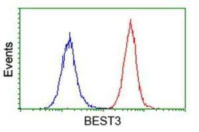 Flow Cytometry: Bestrophin 3 Antibody (OTI2H3) [NBP2-03253]