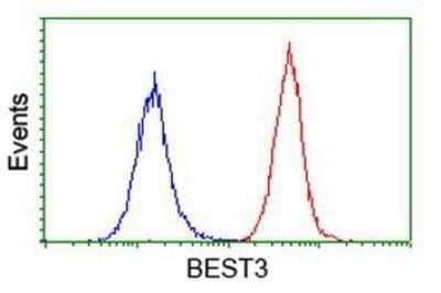 Flow Cytometry: Bestrophin 3 Antibody (OTI2H3) - Azide and BSA Free [NBP2-72407]