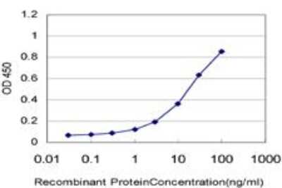 ELISA: Beta-1,3-N-Acetylglucosaminyltransferase 2/B3GNT2 Antibody (1A8) [H00010678-M05]