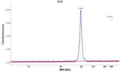 Simple Western: Beta Ig-h3/TGFBI Antibody [NBP1-88606]
