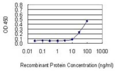 ELISA: Biglycan Antibody (4E1-1G7) [H00000633-M01]