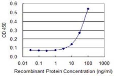 ELISA: Biliverdin Reductase A/BLVRA Antibody (S2) [H00000644-M03]