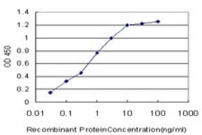 ELISA: Blk Antibody (7A12) [H00000640-M02]