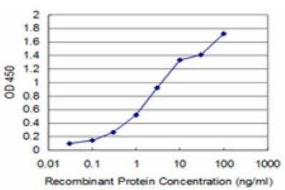 ELISA: Boll Antibody (2E8) [H00066037-M06]