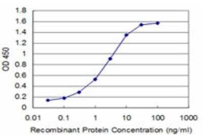 ELISA: Boll Antibody (3E10) [H00066037-M03]