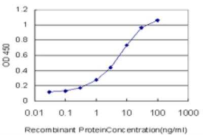 ELISA: Boll Antibody (5B8) [H00066037-M05]