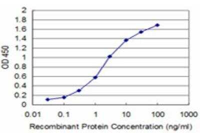ELISA: Boll Antibody (5H8) [H00066037-M08]