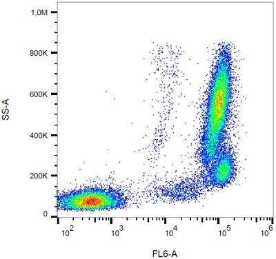 Flow Cytometry: Bone marrow stromal cell antigen 1/CD157 Antibody (SY11B5) - BSA Free [NBP2-37711]