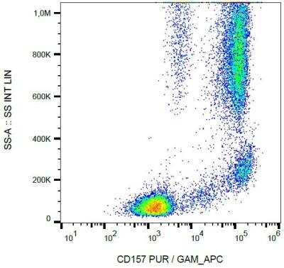 Flow Cytometry: Bone marrow stromal cell antigen 1/CD157 Antibody (SY11B5) - BSA Free [NBP2-37711]