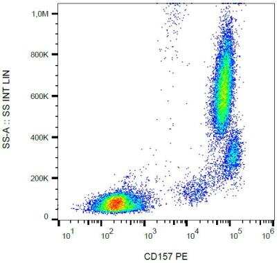 Flow Cytometry: Bone marrow stromal cell antigen 1/CD157 Antibody (SY11B5) - BSA Free [NBP2-37711]