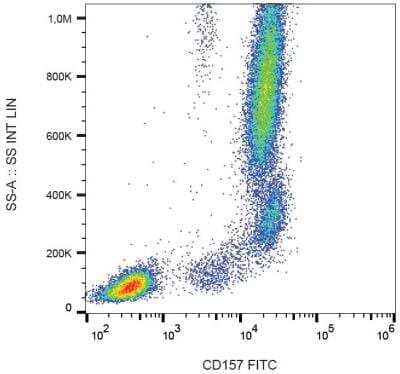 Flow Cytometry: Bone marrow stromal cell antigen 1/CD157 Antibody (SY11B5) - BSA Free [NBP2-37711]