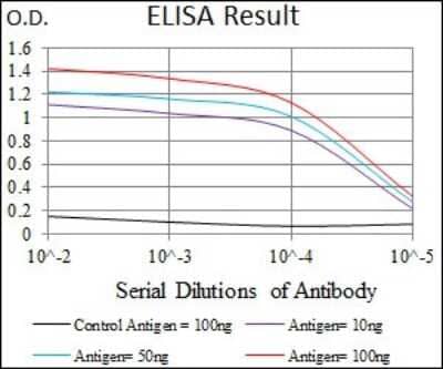 ELISA: Brachyury Antibody (1H9A2) - BSA Free [NBP2-37434]