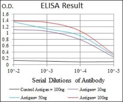 ELISA: Brachyury Antibody (6C12) - BSA Free [NBP2-37473]