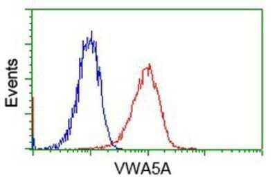 Flow Cytometry: Breast cancer suppressor candidate 1 Antibody (OTI3D6) - Azide and BSA Free [NBP2-71158]