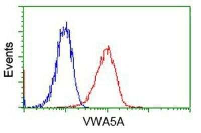 Flow Cytometry: Breast cancer suppressor candidate 1 Antibody (OTI3D6) [NBP2-02898]