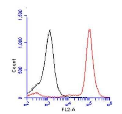 Flow Cytometry: Bromodeoxyuridine/BrdU Antibody [NBP2-14890]