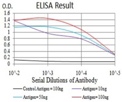 ELISA: Bub1 Antibody (1A11C7) - BSA Free [NBP2-61719]