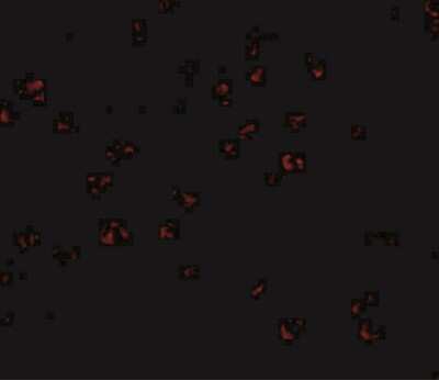 Immunocytochemistry/ Immunofluorescence: Bub3 Antibody - BSA Free [NBP1-76796]