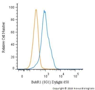 Flow Cytometry: BubR1 Antibody (8G1) - Azide and BSA Free [NBP2-80606]