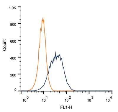 Flow Cytometry: BubR1 Antibody (8G1) - Azide and BSA Free [NBP2-80606]