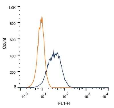 Flow Cytometry: BubR1 Antibody (8G1) - BSA Free [NB100-353]
