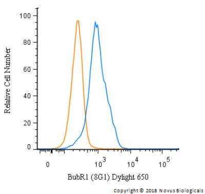 Flow Cytometry: BubR1 Antibody (8G1) - BSA Free [NB100-353]