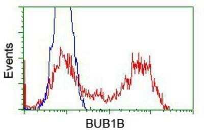 Flow Cytometry: BubR1 Antibody (OTI6E5) - Azide and BSA Free [NBP2-70314]