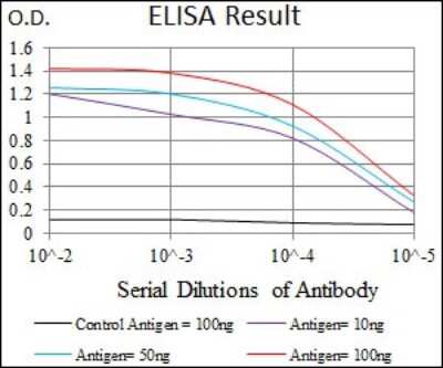 ELISA: HROB Antibody (3E10H2) - BSA Free [NBP2-37405]