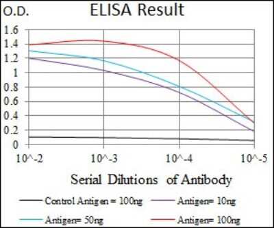ELISA: HROB Antibody (5F3H1) - BSA Free [NBP2-37406]