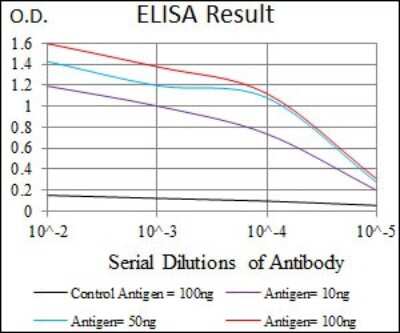 ELISA: HROB Antibody (7A3A9) - BSA Free [NBP2-37407]