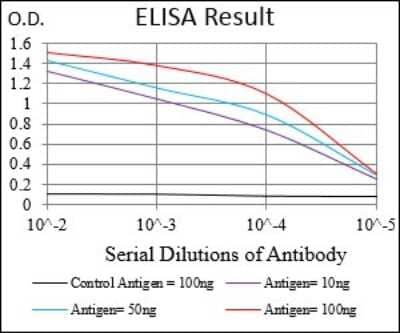 ELISA: C1qR1/CD93 Antibody (2F7D11) - BSA Free [NBP2-37310]