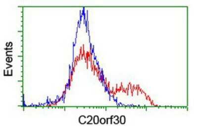 Flow Cytometry: TMEM230 Antibody (OTI2C8) [NBP2-03751]