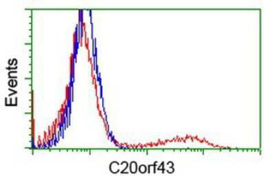 Flow Cytometry: Replication Termination Factor 2 Antibody (OTI1E8) [NBP2-03584]