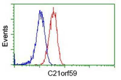 Flow Cytometry: C21orf59 Antibody (OTI2H5) [NBP2-02702]