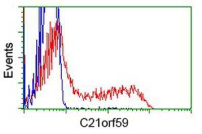 Flow Cytometry: C21orf59 Antibody (OTI2H5) [NBP2-02702]