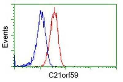 Flow Cytometry: C21orf59 Antibody (OTI2H5) - Azide and BSA Free [NBP2-72060]