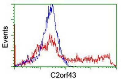 Flow Cytometry: LDAH Antibody (OTI2G9) [NBP2-03718]