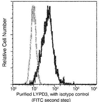 Flow Cytometry: C4.4A/LYPD3 Antibody (213) [NBP2-89995]