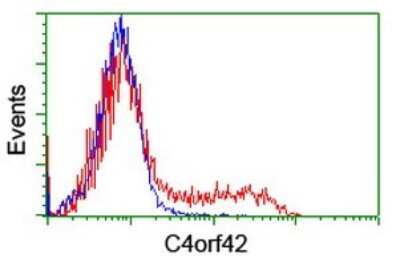 Flow Cytometry: CTBP1-DT Antibody (OTI4F2) [NBP2-45585]