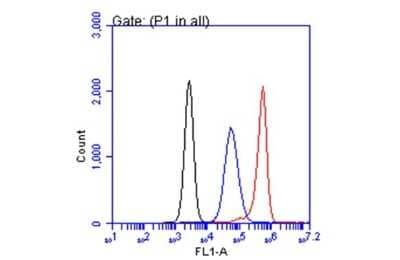 Flow Cytometry: CA19-9/Sialyl Lewis A Antibody (GT174) [NBP3-13649]