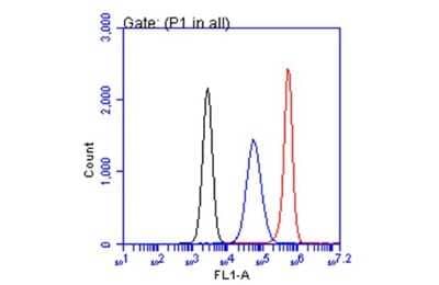 Flow Cytometry: CA19-9/Sialyl Lewis A Antibody (GT252) [NBP3-13651]