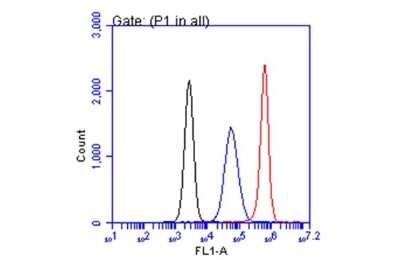 Flow Cytometry: CA19-9/Sialyl Lewis A Antibody (GT8510) [NBP3-13652]