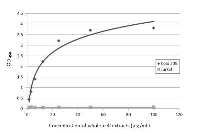 ELISA: CA19-9/Sialyl Lewis A Antibody (GT933) [NBP3-13650]